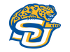 Southern University