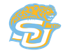 Southern University