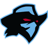 Dallas Renegades