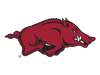 Arkansas Razorbacks